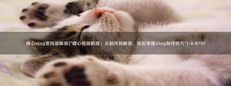  糖心vlog免费版：糖心vlog官网破解版(\
